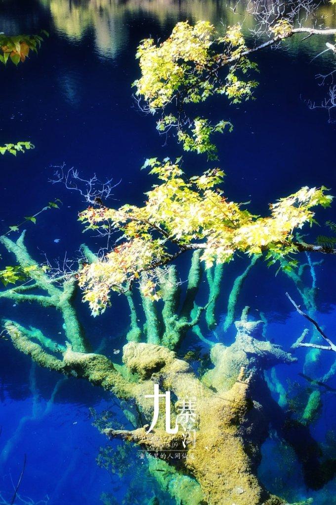 造物法则